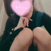 ヒメ日記 2025/03/30 12:08 投稿 のあ 五反田人妻ヒットパレード（シンデレラグループ）