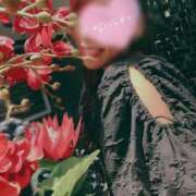 ヒメ日記 2025/04/13 22:25 投稿 のあ 五反田人妻ヒットパレード（シンデレラグループ）