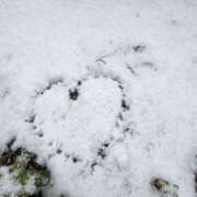 ヒメ日記 2026/02/08 18:58 投稿 のあ 五反田人妻ヒットパレード（シンデレラグループ）