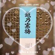 ヒメ日記 2025/06/15 21:27 投稿 琴宮 ローラ バルボラ マリン