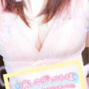 ヒメ日記 2026/01/14 15:43 投稿 さな 風鈴（ふうりん）