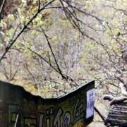 ヒメ日記 2026/01/27 13:07 投稿 ようこ 熟女の風俗最終章 本厚木店