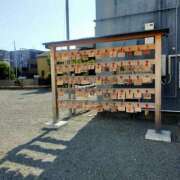 ヒメ日記 2026/01/30 12:42 投稿 ようこ 熟女の風俗最終章 本厚木店