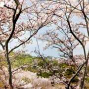 ヒメ日記 2026/02/18 16:51 投稿 ようこ 熟女の風俗最終章 本厚木店