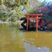 ヒメ日記 2026/02/19 11:31 投稿 ようこ 熟女の風俗最終章 本厚木店