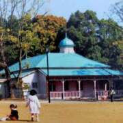 ヒメ日記 2026/02/19 11:52 投稿 ようこ 熟女の風俗最終章 本厚木店