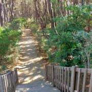 ヒメ日記 2026/02/21 11:41 投稿 ようこ 熟女の風俗最終章 本厚木店