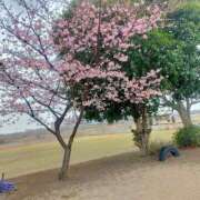 ヒメ日記 2026/02/24 14:11 投稿 ようこ 熟女の風俗最終章 本厚木店