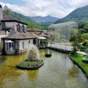 ヒメ日記 2026/02/24 14:29 投稿 ようこ 熟女の風俗最終章 本厚木店