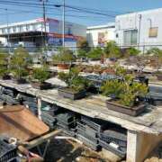 ヒメ日記 2026/03/01 13:51 投稿 ようこ 熟女の風俗最終章 本厚木店