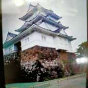 ヒメ日記 2026/03/01 14:02 投稿 ようこ 熟女の風俗最終章 本厚木店