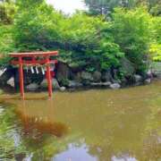 ヒメ日記 2026/05/09 12:41 投稿 ようこ 熟女の風俗最終章 本厚木店