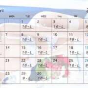 ヒメ日記 2025/04/01 10:42 投稿 ひいらぎ FORTE