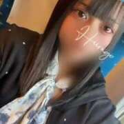 ヒメ日記 2025/04/01 14:17 投稿 ひいらぎ FORTE