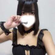 ヒメ日記 2025/04/16 07:59 投稿 ひいらぎ FORTE