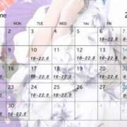 ヒメ日記 2025/06/06 10:59 投稿 ひいらぎ FORTE