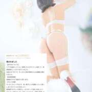 ヒメ日記 2025/06/12 02:39 投稿 ひいらぎ FORTE