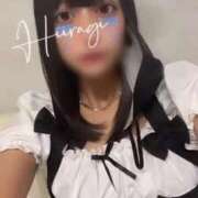 ヒメ日記 2025/06/18 11:00 投稿 ひいらぎ FORTE