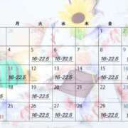 ヒメ日記 2025/08/04 23:49 投稿 ひいらぎ FORTE