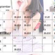 ヒメ日記 2025/09/01 09:59 投稿 ひいらぎ FORTE