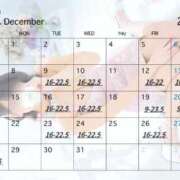 ひいらぎ 12月🗓️ FORTE