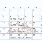 ヒメ日記 2026/01/04 23:09 投稿 ひいらぎ FORTE