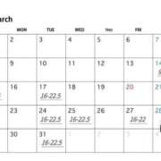 ヒメ日記 2026/03/11 10:49 投稿 ひいらぎ FORTE