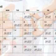 ヒメ日記 2026/03/25 00:09 投稿 ひいらぎ FORTE