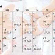 ヒメ日記 2026/04/01 20:39 投稿 ひいらぎ FORTE