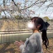 ヒメ日記 2026/04/18 14:15 投稿 ちい クラブ バレンタイン大阪