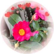 ヒメ日記 2024/12/31 16:56 投稿 さやか 大塚 虹いろ回春