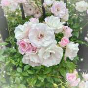 ヒメ日記 2025/05/16 10:25 投稿 さやか 大塚 虹いろ回春