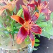 ヒメ日記 2025/06/12 10:26 投稿 さやか 大塚 虹いろ回春