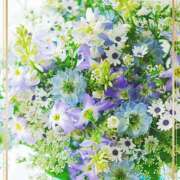 ヒメ日記 2025/02/22 22:59 投稿 かな 性腺熟女100％（デリヘル市場）