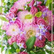 ヒメ日記 2025/02/26 20:35 投稿 かな 性腺熟女100％（デリヘル市場）