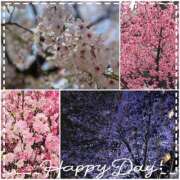 ヒメ日記 2025/03/31 22:46 投稿 かな 性腺熟女100％（デリヘル市場）