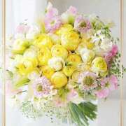 ヒメ日記 2025/05/15 20:30 投稿 かな 性腺熟女100％（デリヘル市場）