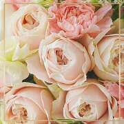 ヒメ日記 2025/06/28 20:57 投稿 かな 性腺熟女100％（デリヘル市場）