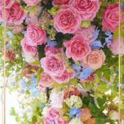 ヒメ日記 2025/07/17 20:57 投稿 かな 性腺熟女100％（デリヘル市場）