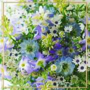 ヒメ日記 2025/08/04 12:10 投稿 かな 性腺熟女100％（デリヘル市場）