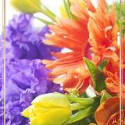 ヒメ日記 2025/09/28 17:46 投稿 かな 性腺熟女100％（デリヘル市場）