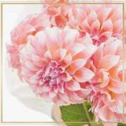 ヒメ日記 2025/09/30 22:38 投稿 かな 性腺熟女100％（デリヘル市場）