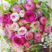 ヒメ日記 2025/11/23 23:00 投稿 かな 性腺熟女100％（デリヘル市場）