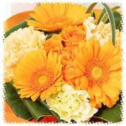 ヒメ日記 2025/12/17 21:36 投稿 かな 性腺熟女100％本店（デリヘル市場）