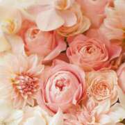 ヒメ日記 2025/12/18 23:52 投稿 かな 性腺熟女100％本店（デリヘル市場）