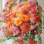 ヒメ日記 2025/12/30 20:58 投稿 かな 性腺熟女100％本店（デリヘル市場）