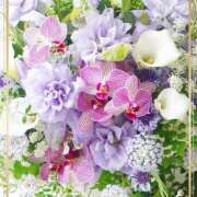 ヒメ日記 2026/02/27 00:53 投稿 かな 性腺熟女100％（デリヘル市場）