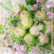 ヒメ日記 2026/03/24 20:58 投稿 かな 性腺熟女100％本店（デリヘル市場）