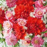 ヒメ日記 2026/03/30 09:48 投稿 かな 性腺熟女100％本店（デリヘル市場）