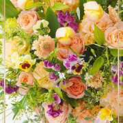 ヒメ日記 2026/04/15 09:41 投稿 かな 性腺熟女100％本店（デリヘル市場）